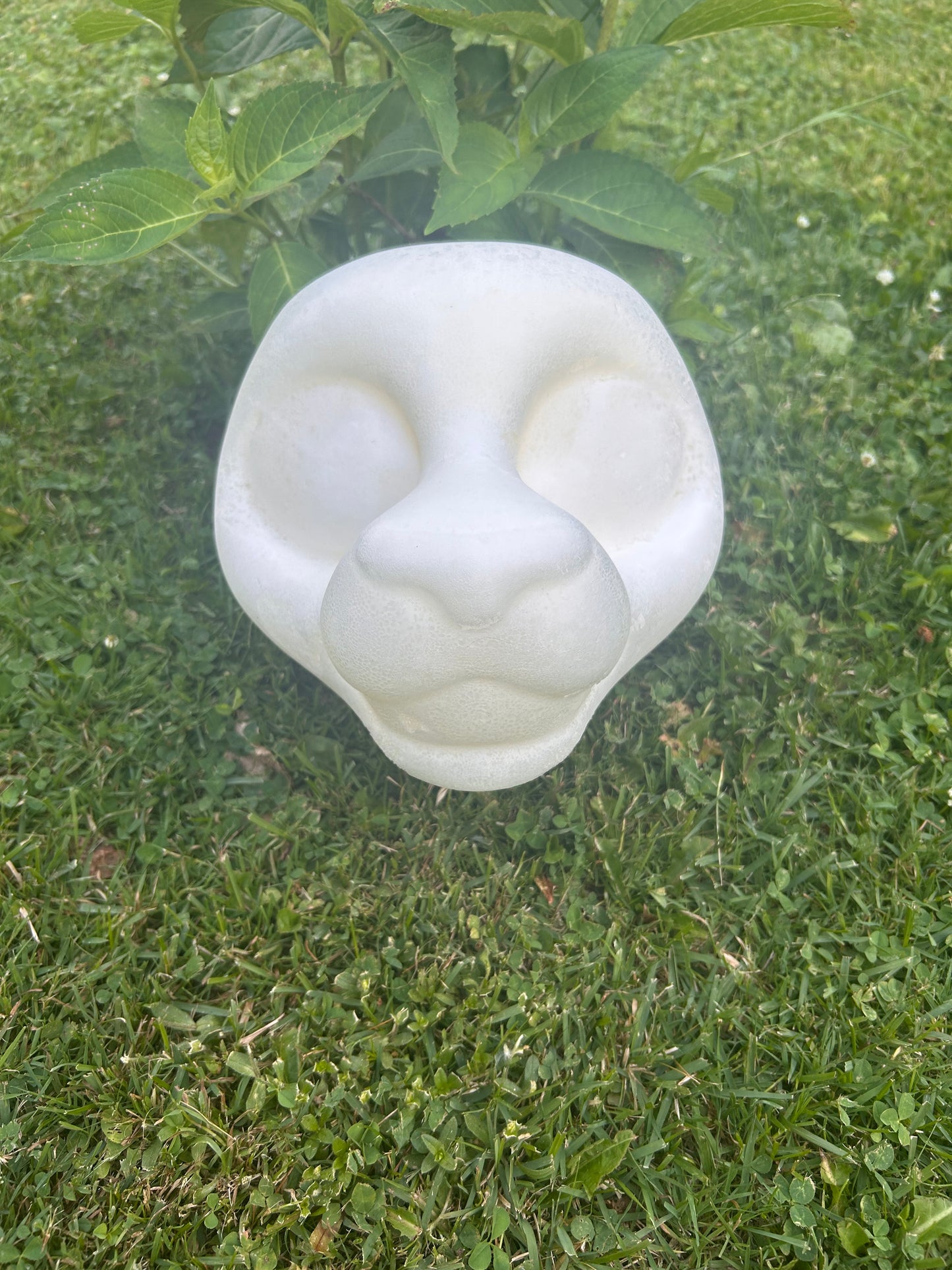 Big Cat Head Base (HD)