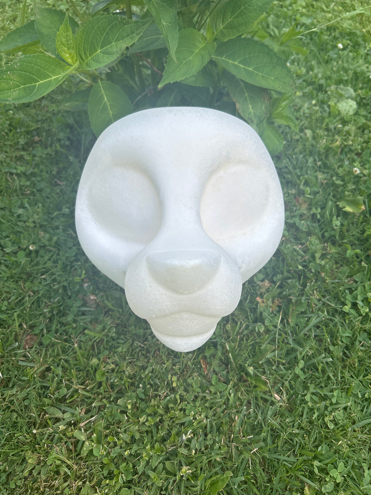 Canine Head Base (HD)