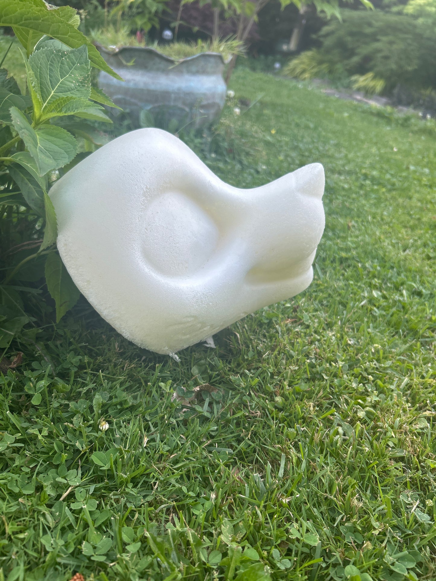 Canine Head Base (HD)